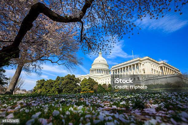 Us Capitol Building Washington Dc United States Stock Photo - Download Image Now - Architectural Dome, Architecture, Blossom