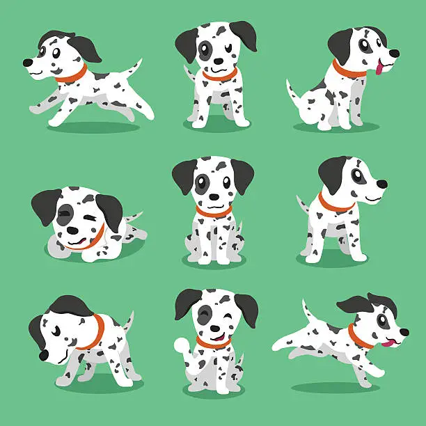 Vector illustration of Cartoon character dalmatian dog poses