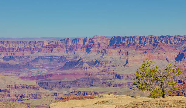 istock South Rim Grand Canyon 493269204