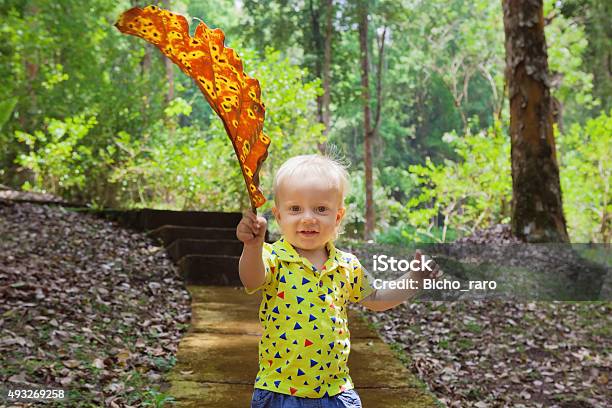 Little Baby Boy Carrying Giant Fallen Leaf Walk In Park Stock Photo - Download Image Now