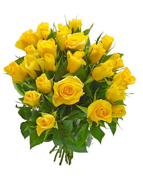 istock yellow bouquet of roses 493269768