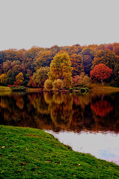 istock Stourhead - Autumn Landscape 493270212