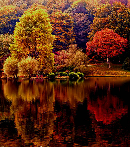 Stourhead - Autumn Landscape stock photo
