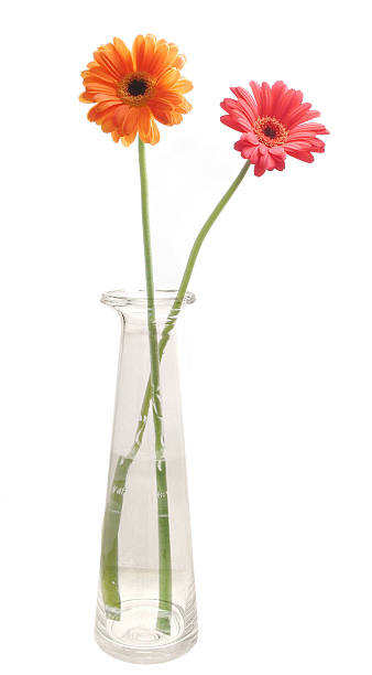 istock Reusable bottle as a flower vase with gerbera 493274384