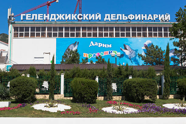 gebäude gelendzhik dolphinarium aufwarten, region krasnodar, russland - aufwarten stock-fotos und bilder