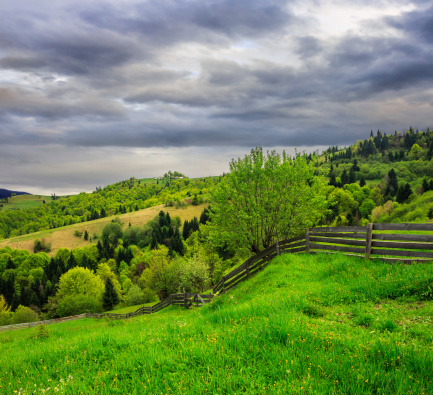 summer landscape. fence on the meadow leading to forest in fog on mountain hillside  on dull rainy day