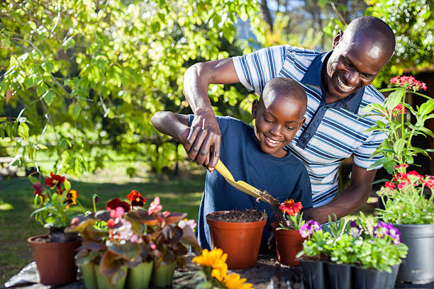 African father and son plant flowers together stock photo