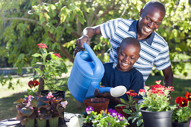 istock African father and son waterin their plants 493278347