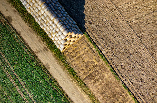 istock Hay bales on the field 493279126