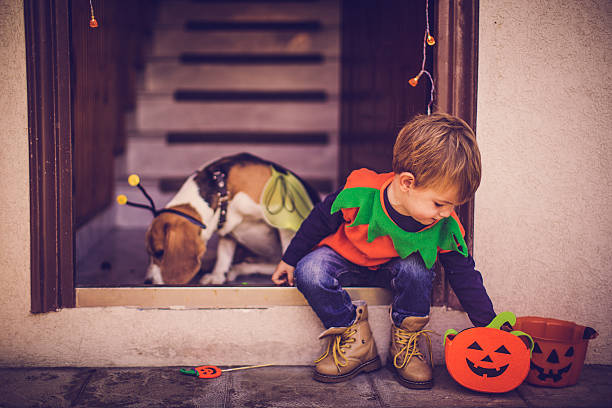 süßes oder saures-halloweenspruch spaziergang mit dem hund - people eating walking fun stock-fotos und bilder