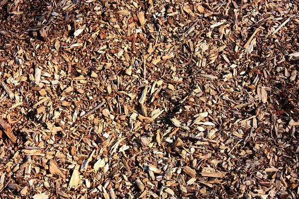 a close up view of woodchips ideal as a background image