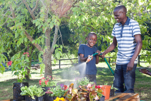 An African father and son spray their plants with water from the hose in Cape Town, Western Cape, South Africa.