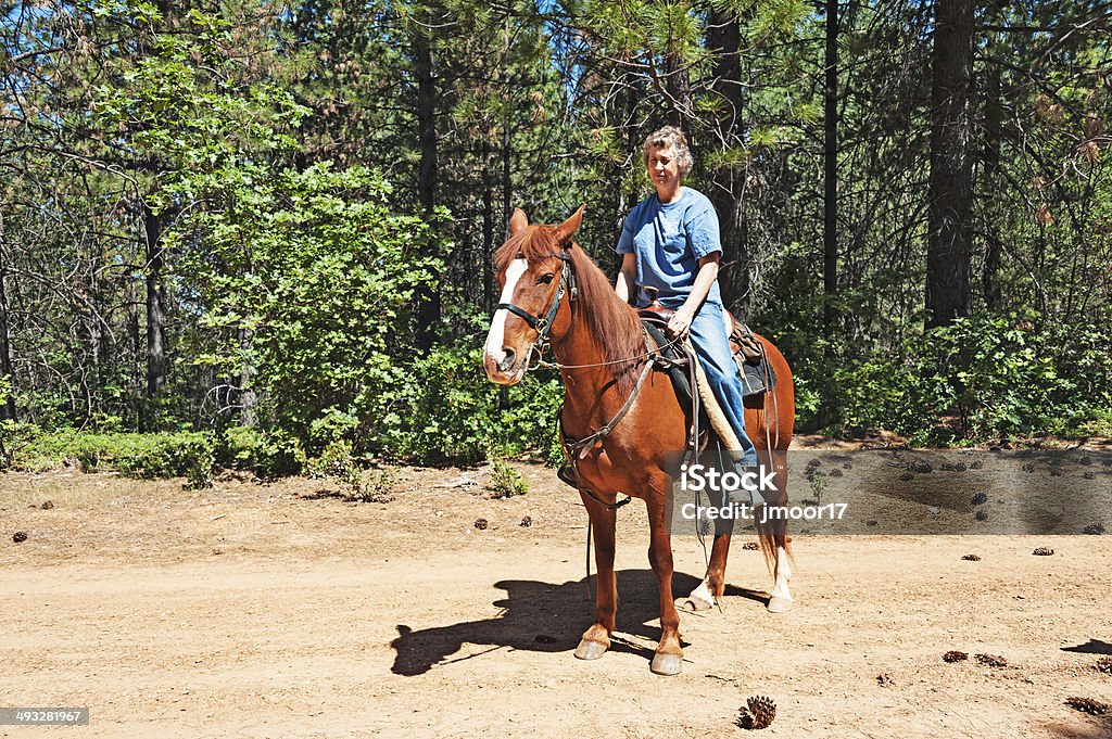 Mulher com cavalo - Foto de stock de Adulto royalty-free