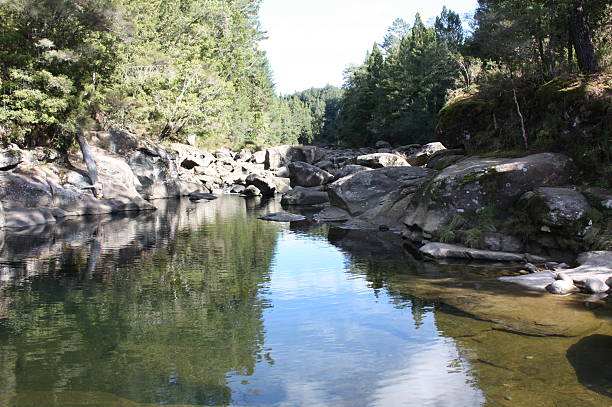 istock Reflective photo of rock pool 493282467