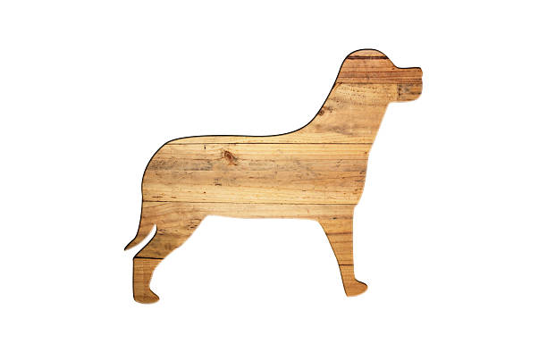 The shape of dog on old wood surface for natural background.