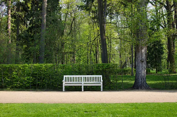 Photo of wooden benches in Lazienki park