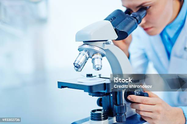 Scientific Studies Stock Photo - Download Image Now - Microscope, Laboratory, Scientist