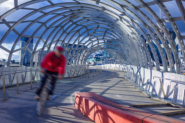 uomo in bicicletta lungo la webb ponte a melbourne - webb foto e immagini stock