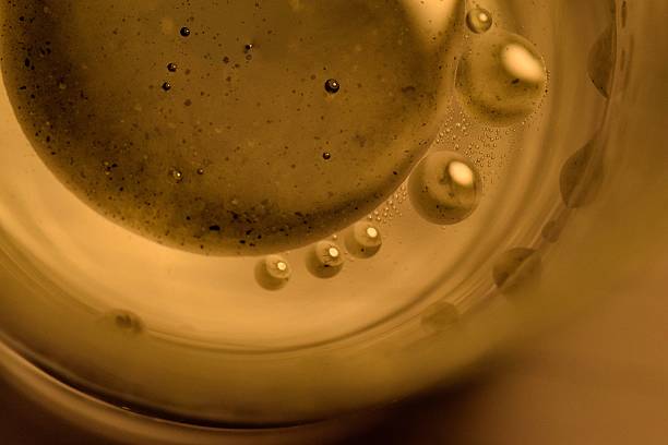 istock oil and water 493305136