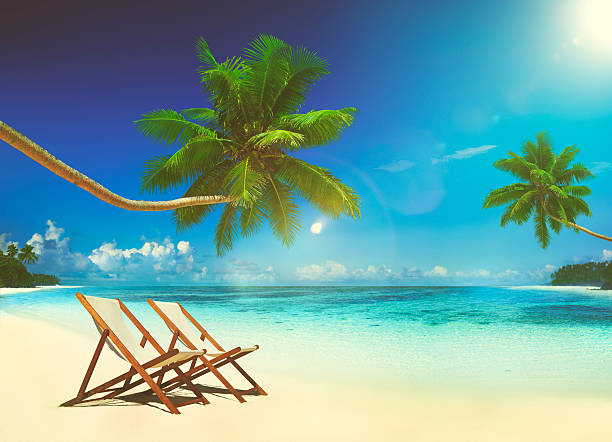 istock Deck Chair Trapical Beach Summer Paradise Concept 493307394