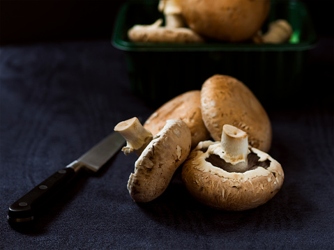 freshness chestnut mushroom with knife