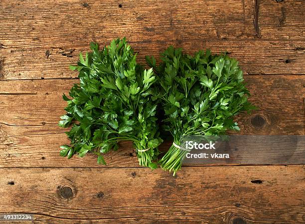 Bunches Of Fresh Parsley On Wooden Bench Stock Photo - Download Image Now - Parsley, 2015, Bench