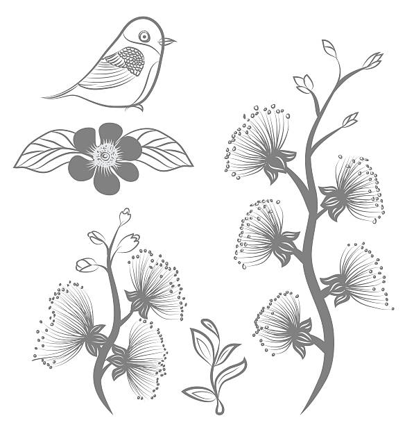 illustrations, cliparts, dessins animés et icônes de main dessinée fower et observer les oiseaux - plan flower arrangement single flower blue