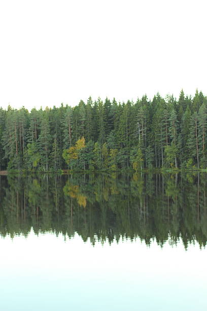 istock Lake and forest in autumn. 493314050