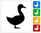 Duck Icon Flat Graphic Design