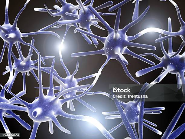 Impulses Of Neurons Stock Photo - Download Image Now - Anatomy, Animal, Animal Brain