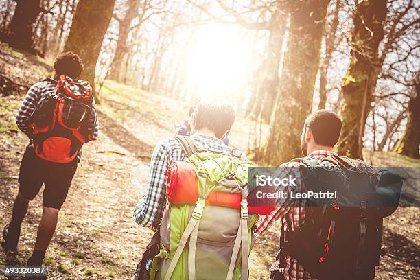 Gruppe Von Jungen Freunden Zu Fuß Durch Den Wald Stockfoto und mehr Bilder von Abenteuer - Abenteuer, Attraktive Frau, Berg