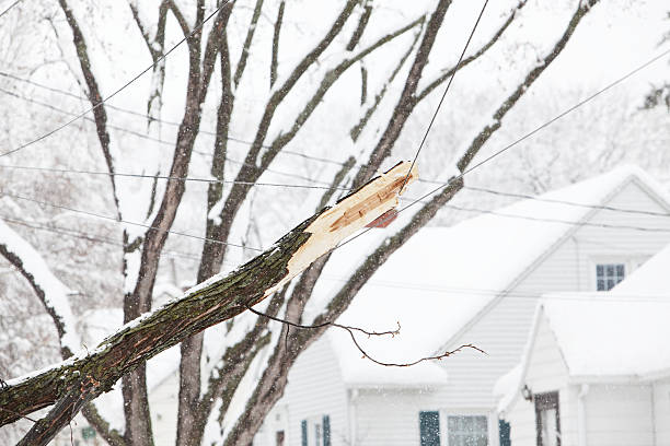broken tree branch hängen in power line während der schneesturm - blizzard house storm snow stock-fotos und bilder