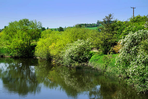 río, luz - uk beauty in nature worcestershire vale of evesham fotografías e imágenes de stock