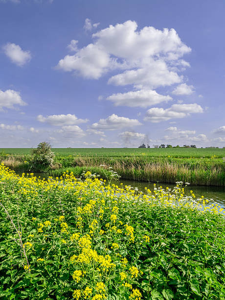 río, luz - uk beauty in nature worcestershire vale of evesham fotografías e imágenes de stock