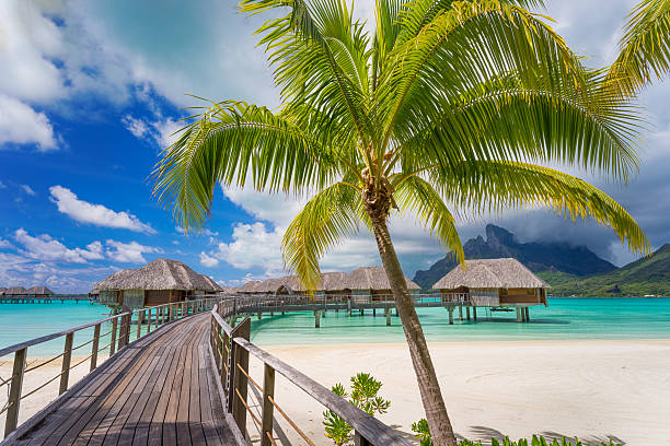 drogi do raju - bora bora polynesia beach bungalow zdjęcia i obrazy z banku zdjęć