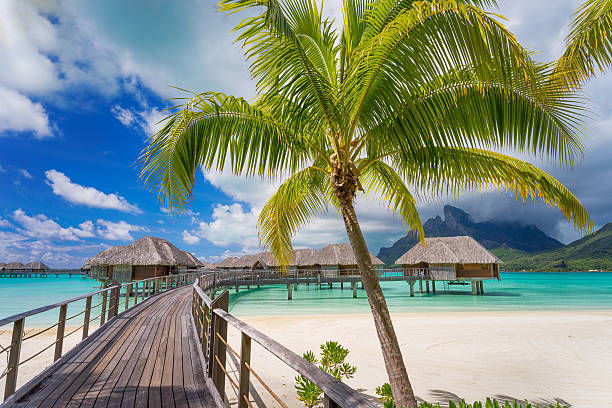 estrada para o paraíso - bora bora polynesia beach bungalow imagens e fotografias de stock