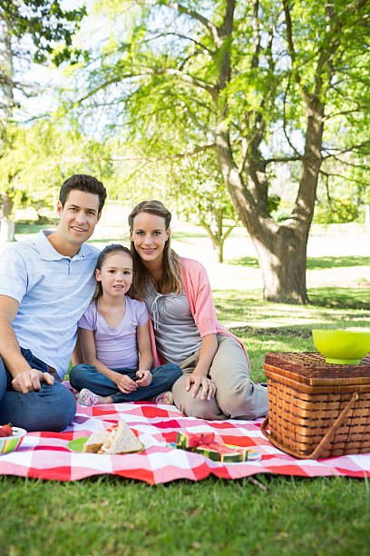 istock Family having picnic at park 493323045