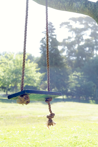 Empty wooden swing in park