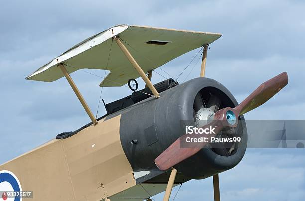 Panel Frontal De La Mitad De La Guerra Foto de stock y más banco de imágenes de Animal - Animal, Anticuado, Arma