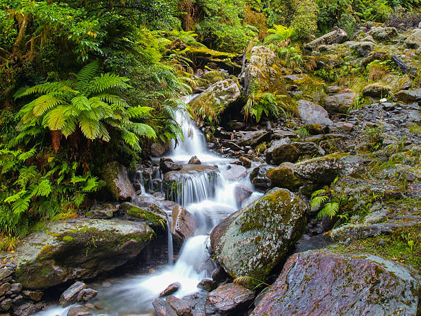 istock Waterfall in New zealand rain forest 493327118