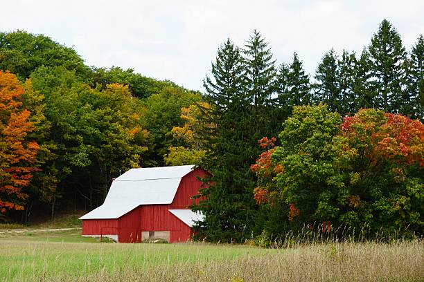 czerwony michigan barn w jesiennym - leelanau peninsula zdjęcia i obrazy z banku zdjęć