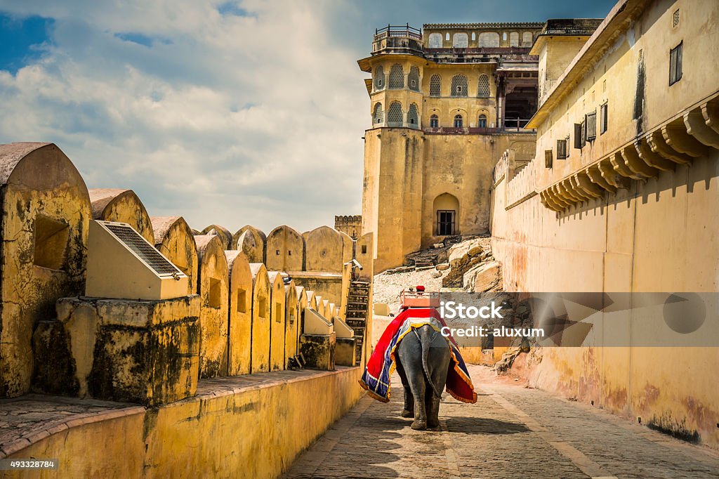 Mahout riding elephant in Amber fort Mahout riding elephant along the wall of Amber Fort . Everyday close to 1000 tourist take an elephant ride of 20 to 30 minutes to the fort. Around 80 elephants carry this task. There are some limitation now as the number of trips up to the fortress and also the tourists they carry are limited to two per animal. Elephant Stock Photo