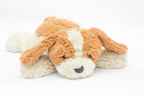 istock plush dog doll on white background 493328980