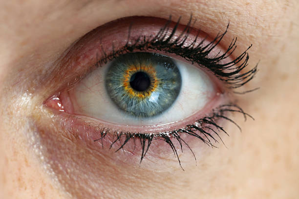 istock Eye looks on viewer concept Macro 493329234