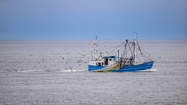 istock Fishing vessel Waddensea 493331426
