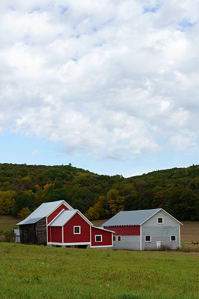 michigan barn w jesiennym - leelanau peninsula zdjęcia i obrazy z banku zdjęć