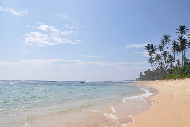 istock Bright sunny day at the beach 493332150