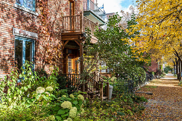 Montreal Neighbourhood in Autumn