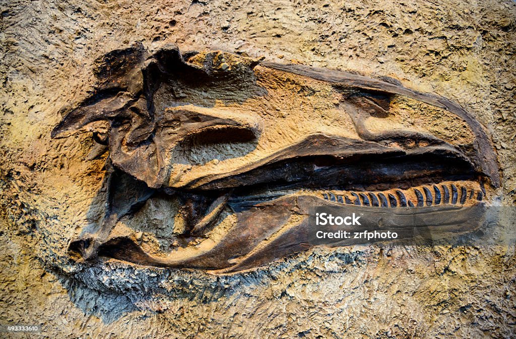 Dinosaur National Monument Dinosaur National Monument Stock Photo