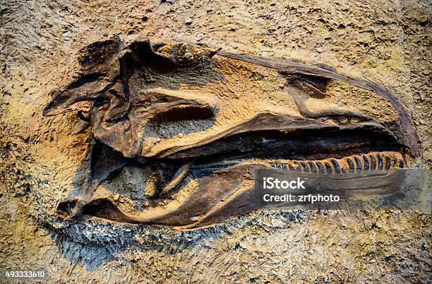 Dinosaur National Monument Stock Photo - Download Image Now - Dinosaur National Monument, Fossil, Allosaurus